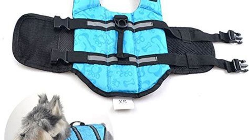 制冷机组压缩机：揭秘十大品牌背后的技术实力**
