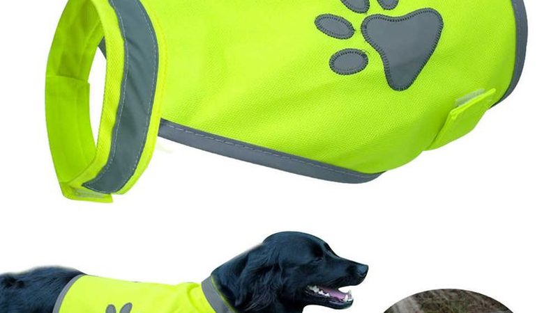 完善的售后服务体系是代理商成功的关键。品牌应具备以下特点：